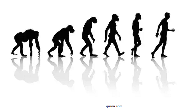 Arkeolog Bantah Teori Darwin, Moyang Manusia Bukan dari Kera