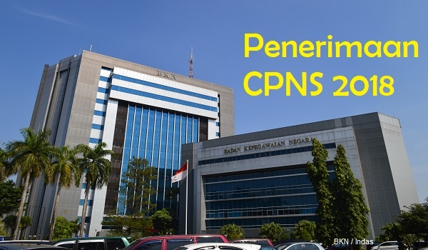 Pendaftaran CPNS 2018 Resmi Dibuka 19 September